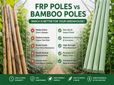 Treoir Riachtanach d'Fheirmeoirí - FRP Polannaigh vs. Polannaigh Bambú: Cé acu a Roghnú?